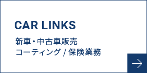 bnrmany06_carlinks_off