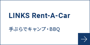 bnrmany06_linksrent_off